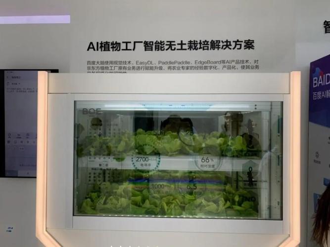 荷兰农业现代化模式很强与京东方推出ai植物工厂同样不弱